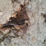 Concrete deteriorated due to corrosion