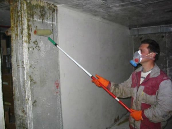Påføring af svampedræbende stoffer på væggene i en kælder