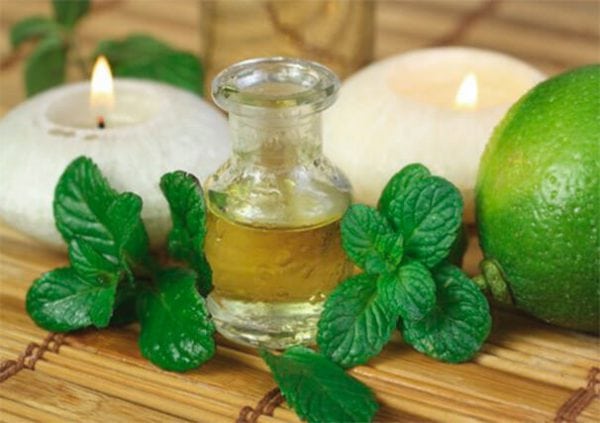 Peppermint oil will help get rid of the smell