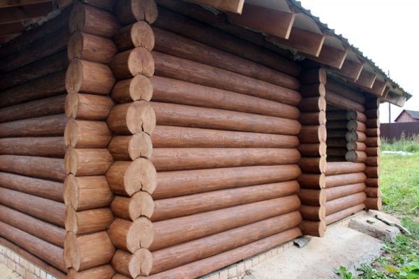 Treatment of a log house with an antiseptic
