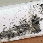 Mold on the walls