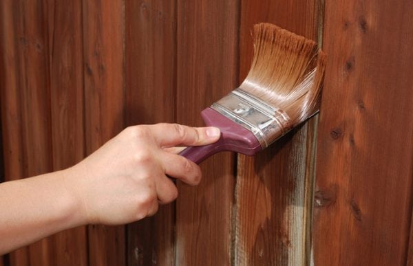 Painting the fence with an antiseptic
