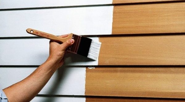 Elaborazione di una superficie di legno con vernice di gomma