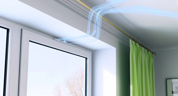För att undvika bildandet av mögel på väggarna är det nödvändigt att ordna korrekt ventilation i rummet
