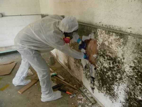 Om schimmel op de muren te verwijderen, moeten vaak afwerkingsmaterialen worden verwijderd