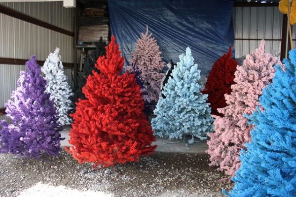 Gli alberi di Natale dipinti in acrilico possono resistere per diversi mesi