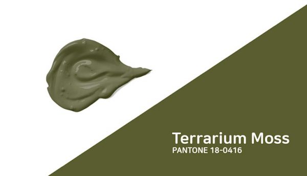 Terrarium Moss von Panton