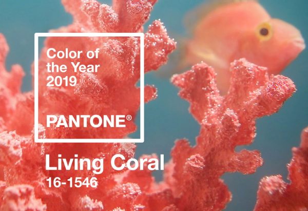 Lebende Korallenfarbe 2019