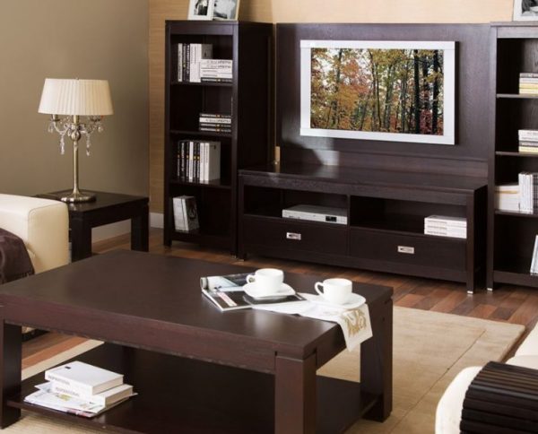 L’ús de tons marrons foscos en el disseny de la sala d’estar
