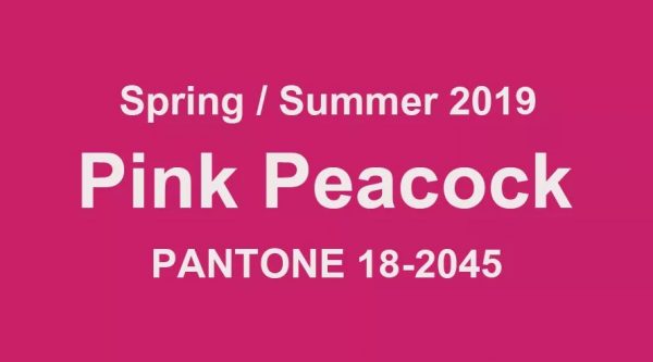 Malinový odstín - Pink Peacock