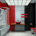 Roșu, alb-negru în baie