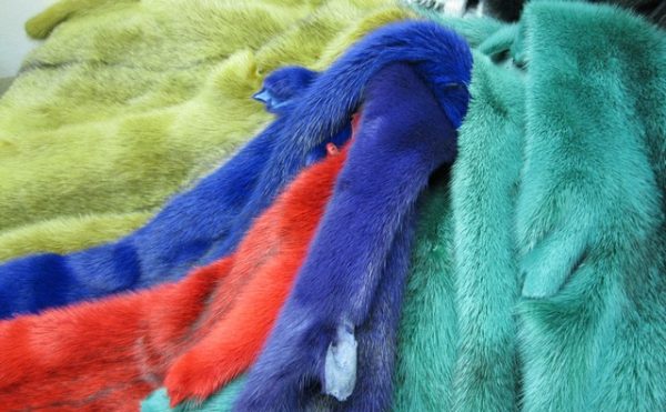 The choice of color for fur
