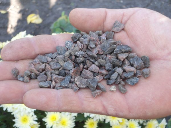 Granite chips for the manufacture of washed concrete