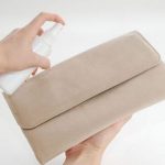 Paglilinis ng Beige Wallet