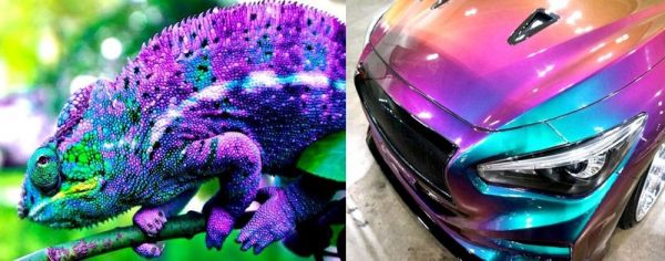Hameleonu krāsota automašīna