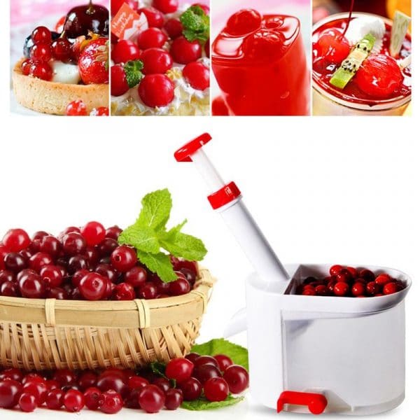 Cherry Seed Remover