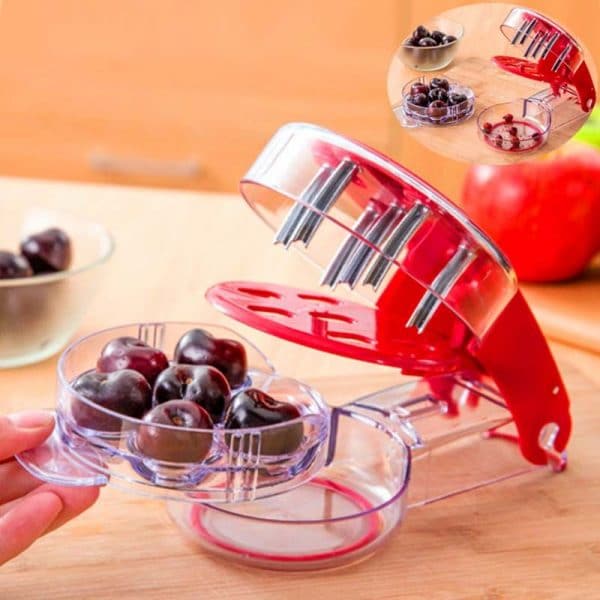 Device for removing seeds from large berries: plums, apricots, cherries
