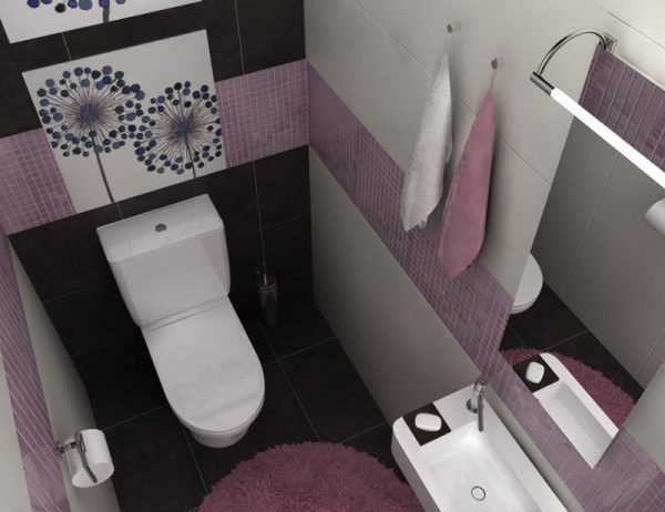 An example of a small toilet