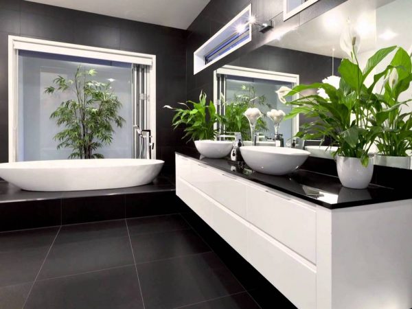 Kasvit kylpyhuone