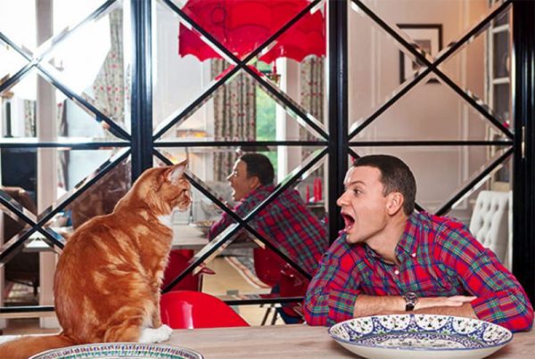 Alexander Oleshko a konyhában a vörös macskájával