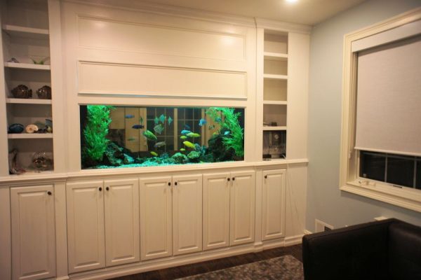 Уградбени акваријум за намештај