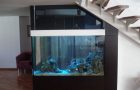 Sisäänrakennetun akvaarion suunnittelu