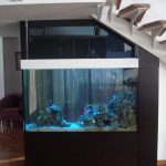 Dizajn integriranog akvarija u unutrašnjosti