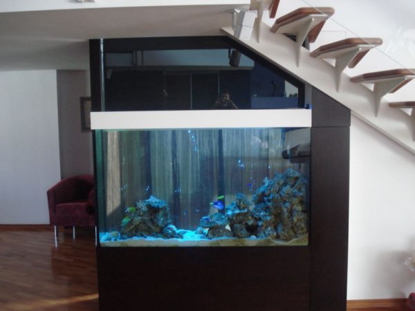 Disenyo ng isang pinagsamang aquarium sa interior