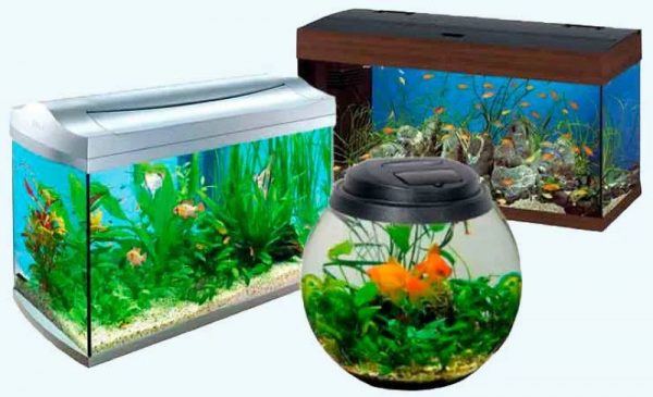Aquariums de différents types