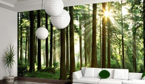Mežs uz tapetes viesistabas interjerā