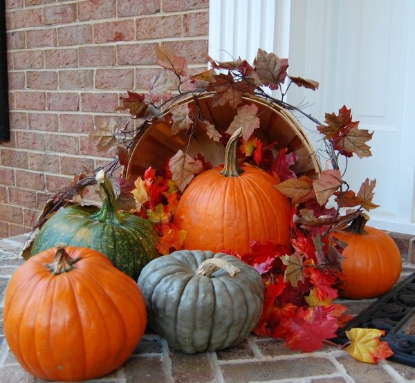 Autumn composition of pumpkins for giving