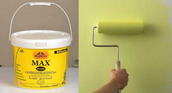 Silicone paint for painting walls