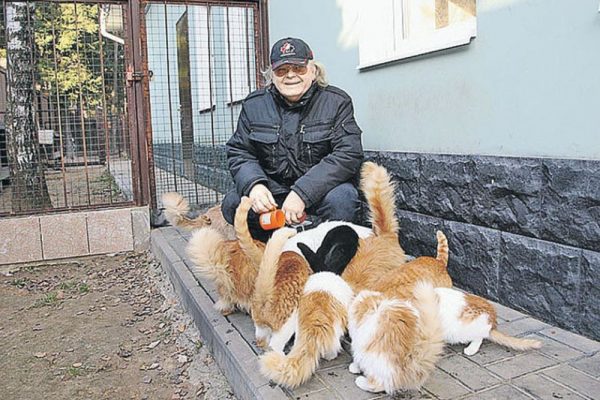 Cats of Yuri Antonov in the country