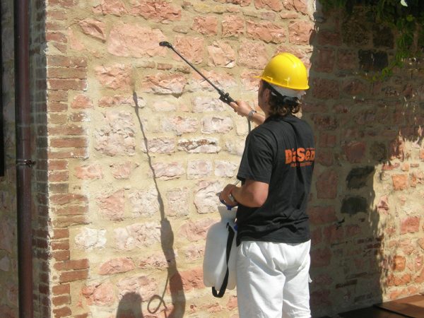 Preparing for wall plastering
