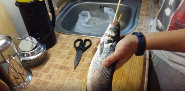 Limpeza de peixe com duas varas