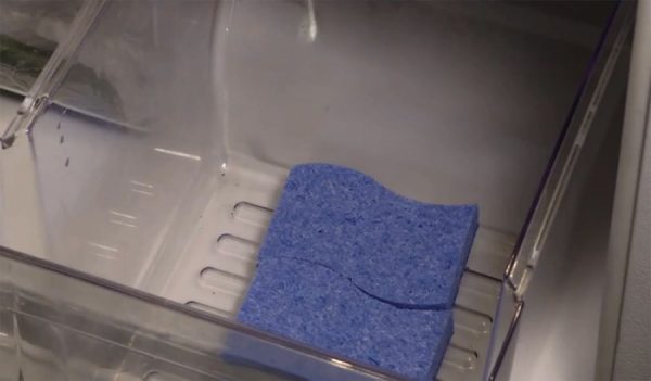 Sponge as a moisture and odor absorber in the refrigerator