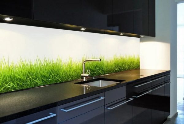 Glass wall panel for the kitchen